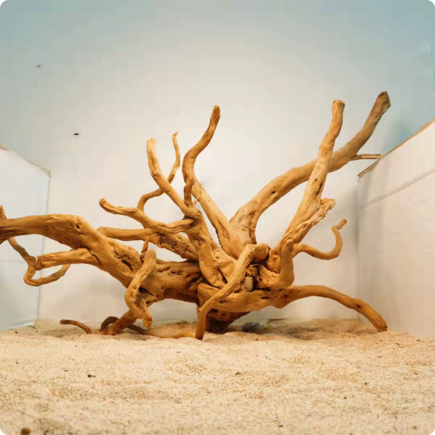 Transform Your Aquarium with Xiaoqi Root Fish Tank Scenery Decoration Ornaments