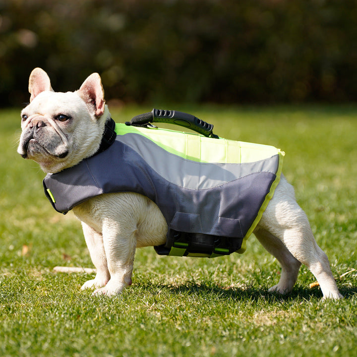 Reflective Pet Life Jacket For Safe Swimming Adventures