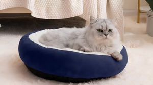 Choosing The Perfect Pet Bed