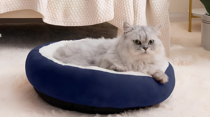 Choosing The Perfect Pet Bed
