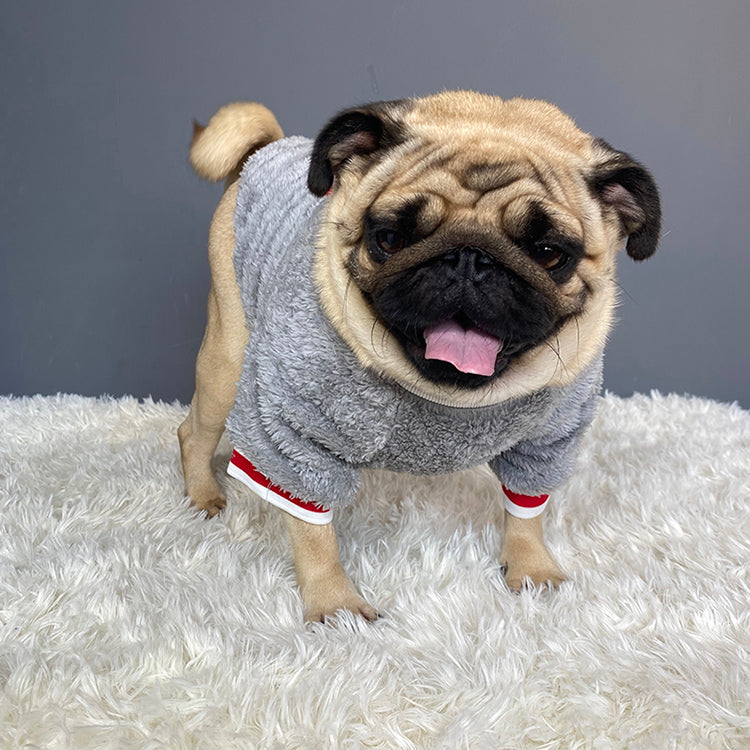The Perfect Pet Sweater for Your Furry Friend
