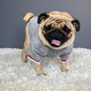 The Perfect Pet Sweater for Your Furry Friend