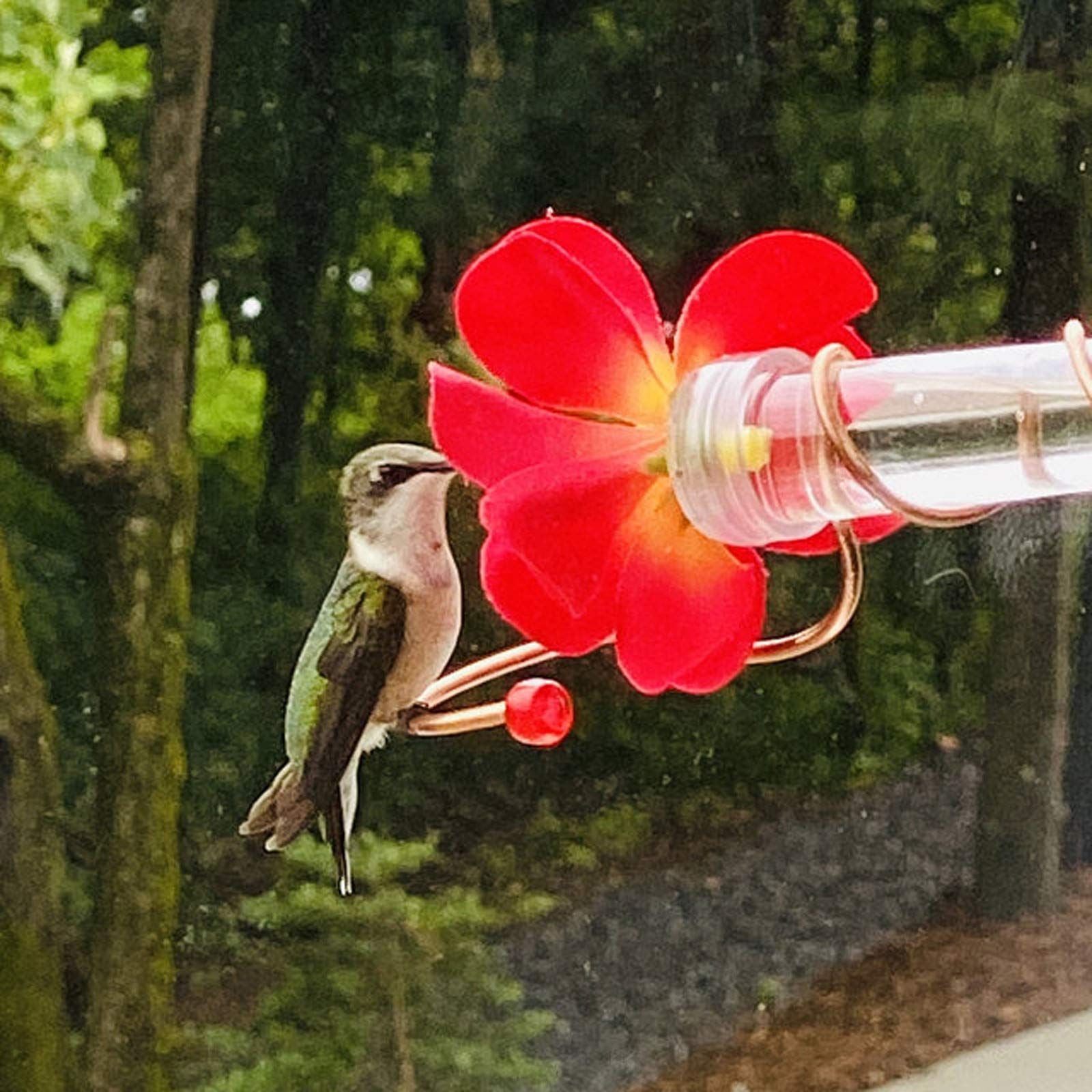 Bring Nature Closer with the Flower Hummingbird Feeder