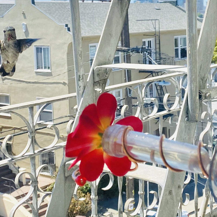 Attract Hummingbirds with Our Flower Hummingbird Feeder