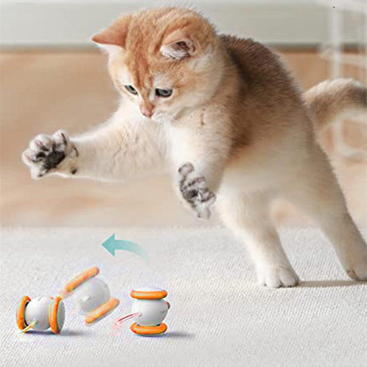 Why Your Cat Deserves the Electric Intelligent Interactive Pet Teasing Toy