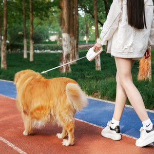 Discover the Stylish Geometric Design Leash for Your Pet