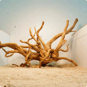 Transform Your Aquarium with Xiaoqi Root Fish Tank Scenery Decoration Ornaments