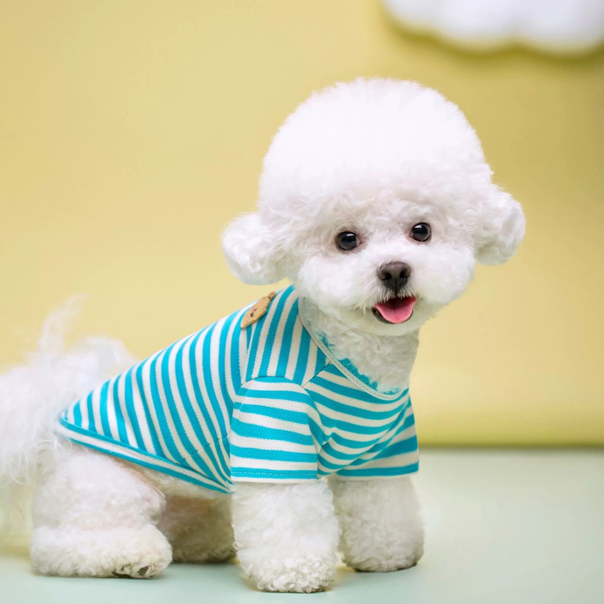 Summer Pet Clothes Breathable T-shirt