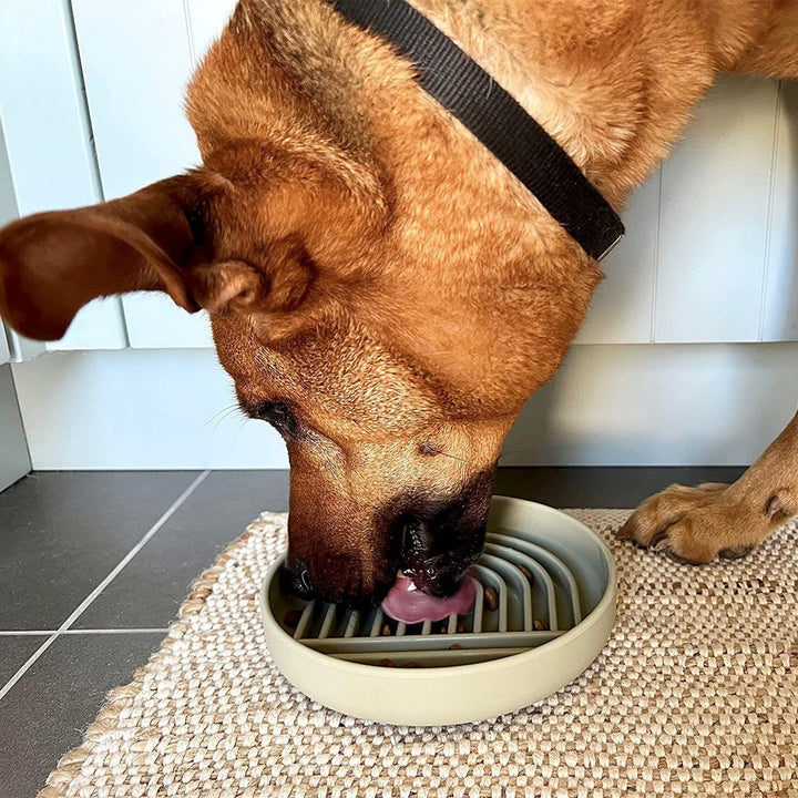 Pet Fashion Simple Slow Feeding Bowl – Elevate Mealtime